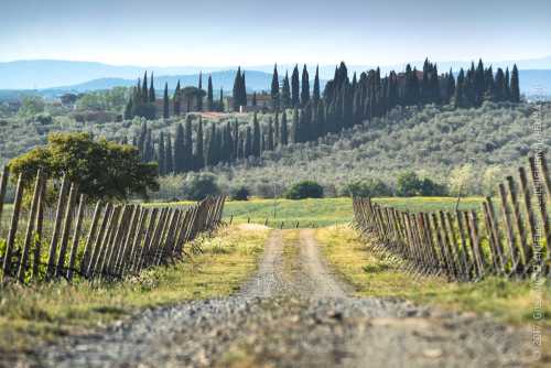 PoggioCavallo da Poggio al vento